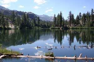 Roosevelt Lake