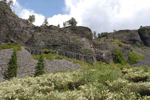 Photo of Columns of Giants