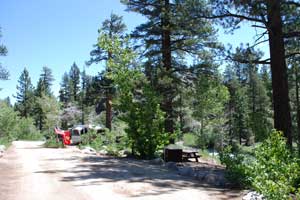 Leavitt Meadow Campground, Humboldt-Toiyabe National Forest, California