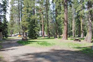 Niagara Creek Campground, Stanislaus National Forest, California