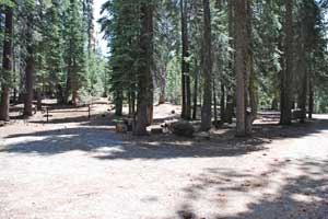 Pine Valley Horse Camp