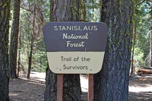 Photo of Trail of the Survivors