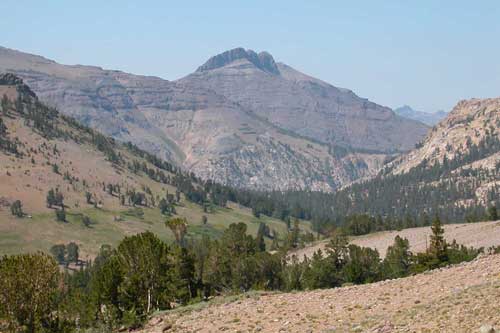 photo of Carson-Iceberg Wilderness