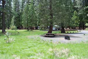 Fraser Flat campground, Stanislaus National Forest, Californa