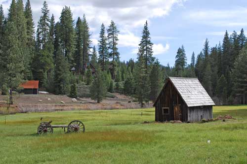 Strawberry meadow