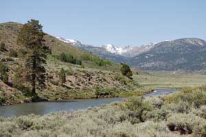 West Walker River