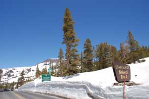 Photo of the Sonora Pass, June 11, 2011