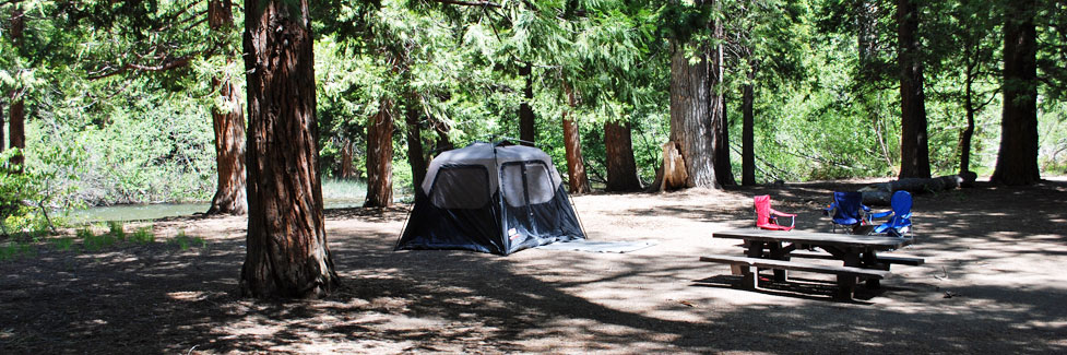 Baker Campground, Stanislaus National Forest, California