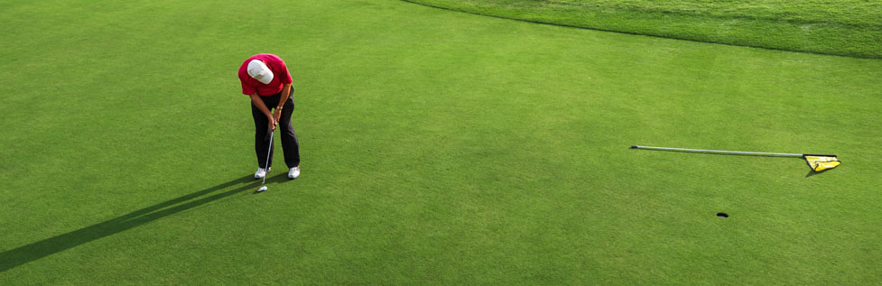 man putting on golf green