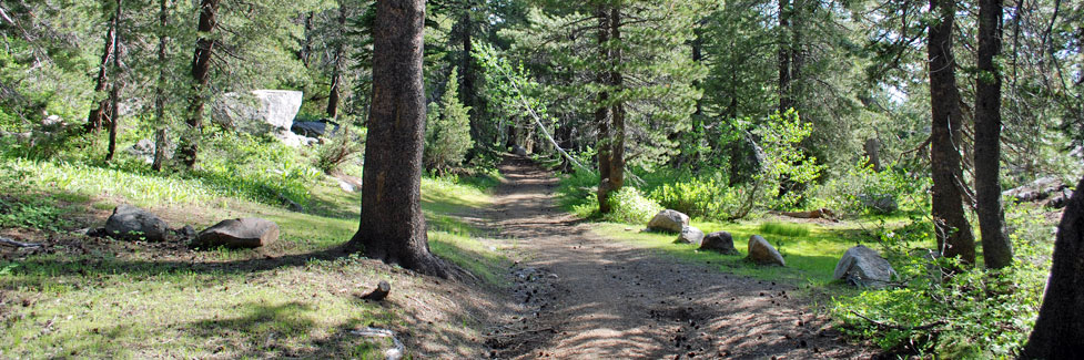 Trail to Herring Creek Reservoir, Stanislaus National Forest, California