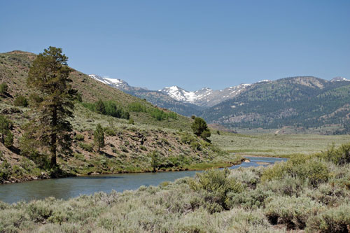 Pickel Meadow, California