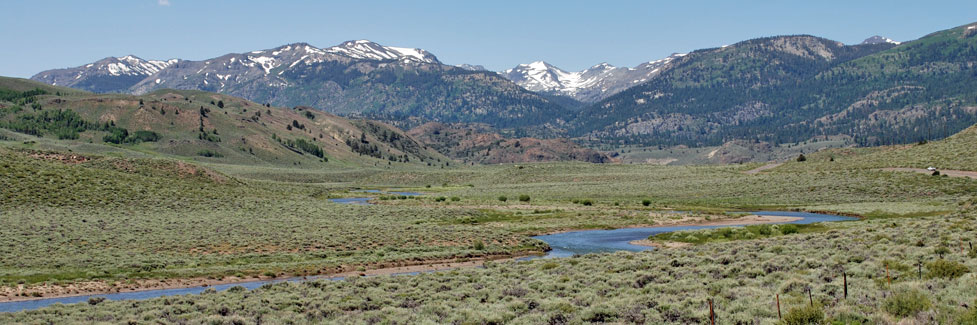 Pickel Meadow, Mono Countdy, California