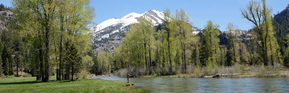 Man fishing at Kennedy Meadows