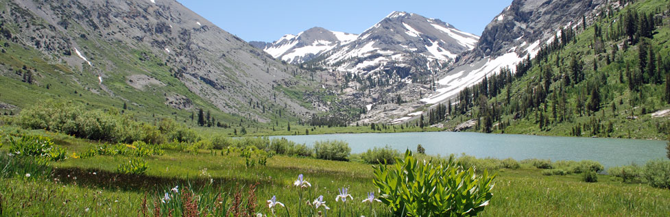 Kennedy Lake, Emigrant Wilderness, California